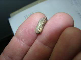 Name:  small silver shoe.JPG
Views: 9820
Size:  7.5 KB