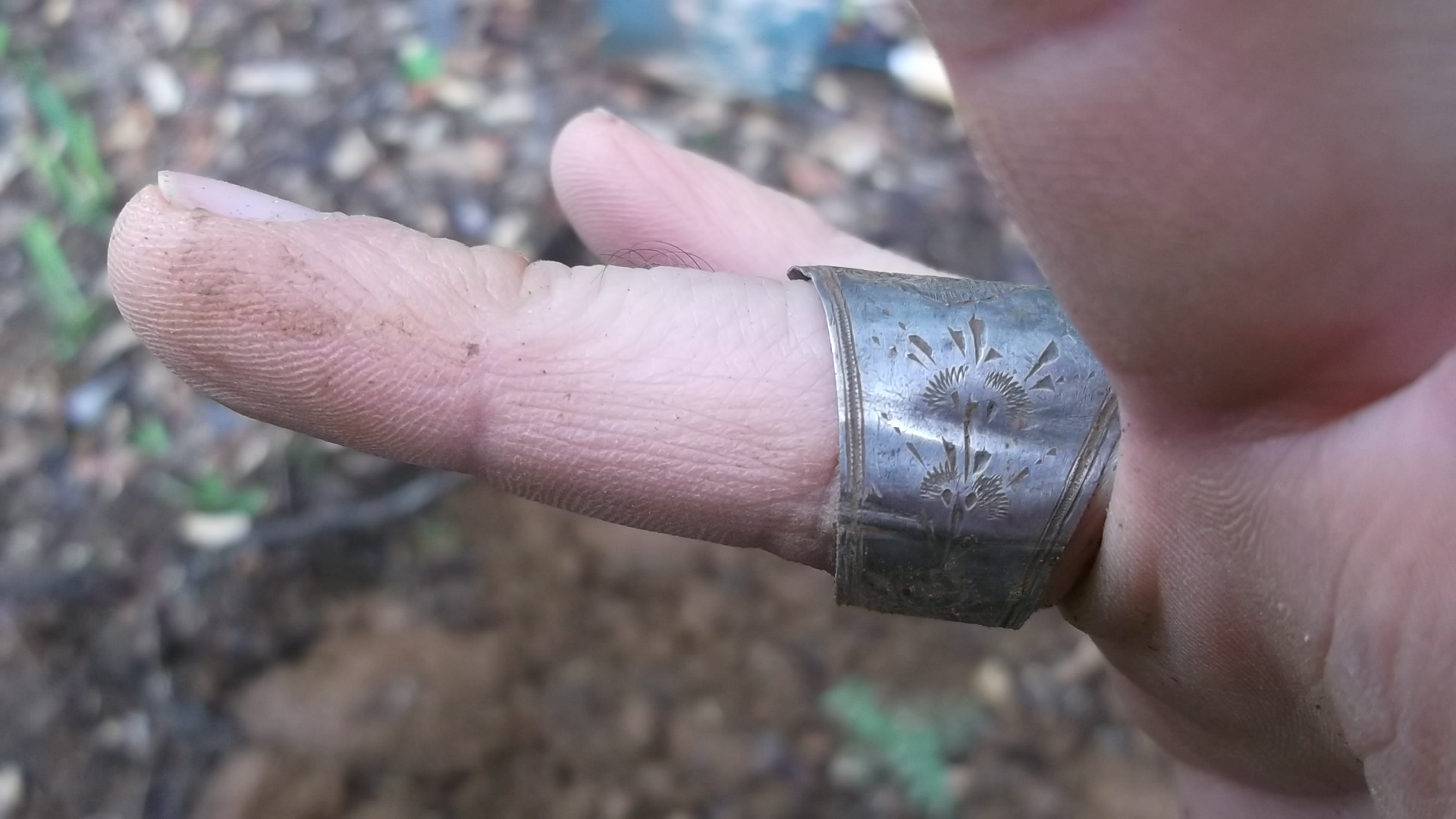 Name:  Ring d.jpg
Views: 4315
Size:  549.8 KB