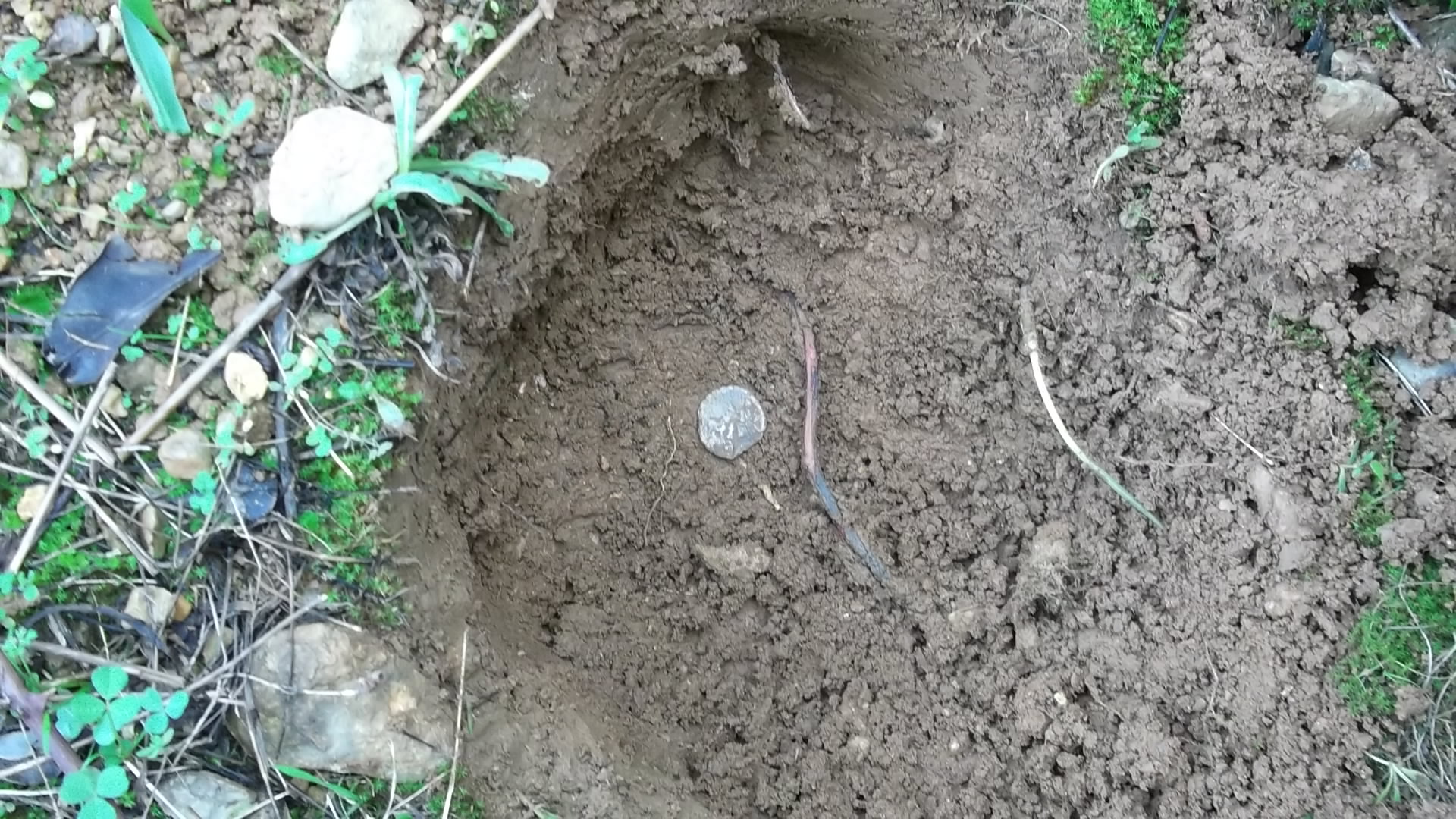 Name:  silver coin.jpg
Views: 7583
Size:  603.0 KB