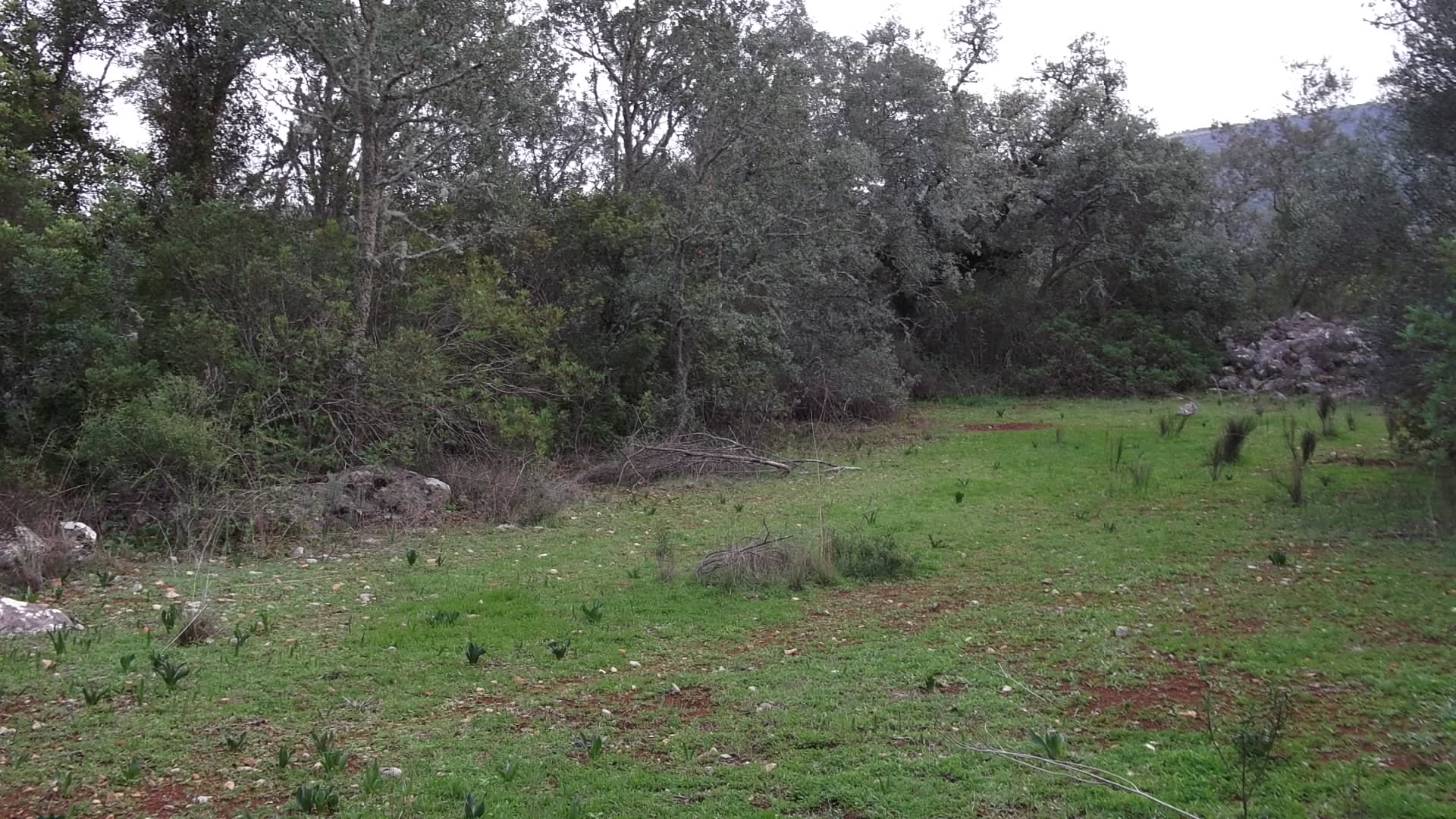 Name:  old house ruins.jpg
Views: 7326
Size:  615.3 KB